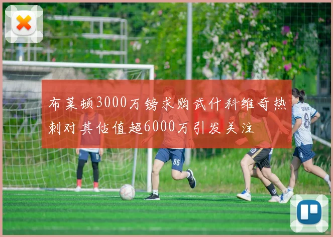 布莱顿3000万镑求购武什科维奇热刺对其估值超6000万引发关注